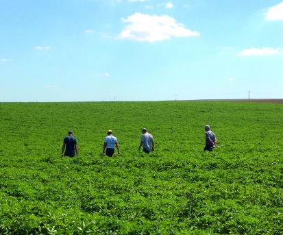 cooperative equitable pommes de terre et legumes